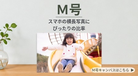 M号横長写真・作品に