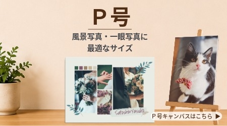P号風景写真・作品に