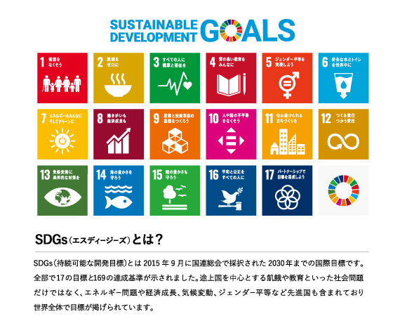 SDGs説明文