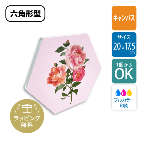 【卒業記念品】【新商品】六角形型 キャンバスボード（20×17.5cm）［2117］OEM対応