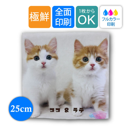 【25cm】極鮮ミニハンカチ | 07-077 | [10242]
