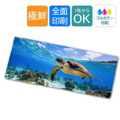 【84×34cm】極鮮フェイスタオル | 07-076 | [10226]
