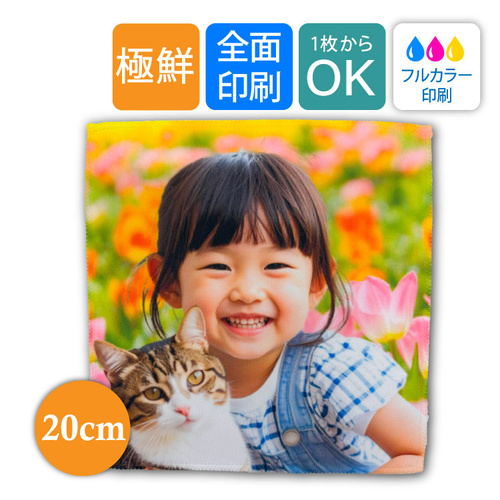 【20cm】極鮮ミニハンカチ | 07-078 | [10241]