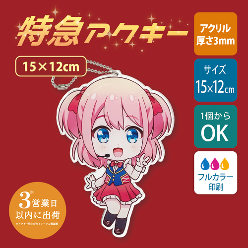 【特急　片面印刷】フリーカットアクリルキーホルダー(切り抜きサポート付)【15×12cm】アクキー [12423]