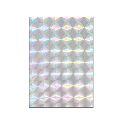 ホログラム(タイプ1)