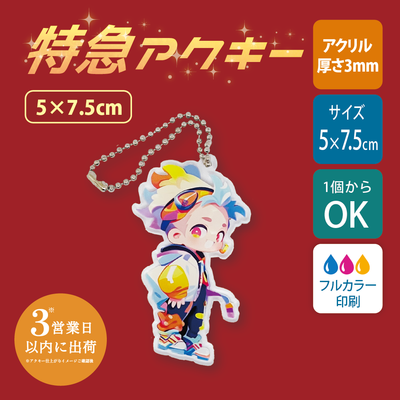 【特急　片面印刷】フリーカットアクリルキーホルダー(切り抜きサポート付)【5×7.5cm】アクキー [11621]
