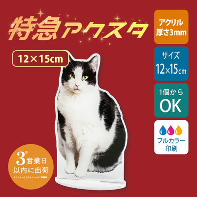 【特急　片面印刷】フリーカットアクリルスタンド(切り抜きサポート付)【12×15cm】アクスタ [12668]
