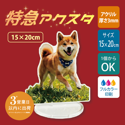 【特急　片面印刷】フリーカットアクリルスタンド(切り抜きサポート付)【15×20cm】アクスタ [12669]