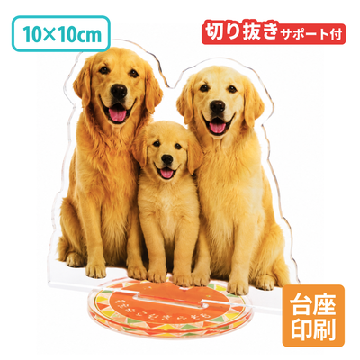 【片面印刷】台座印刷 フリーカットアクリルスタンド（切り抜きサポート付）【10×10cm】