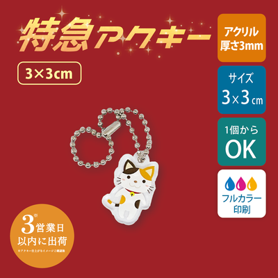 【特急　片面印刷】フリーカットアクリルキーホルダー(切り抜きサポート付)【3cm】アクキー [11584]