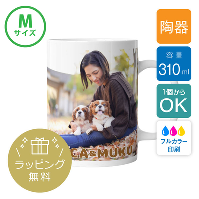 【ギフト人気】陶器マグカップ（M）310ml | TS-1884 |  無料ラッピング対象| [959]