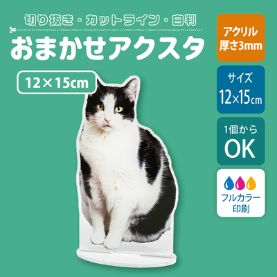 【片面印刷】フリーカットアクリルスタンド(確認メール作業なし)【12×15cm】アクスタ［12651］