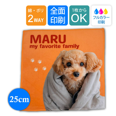 【25cm】ラビットタッチ ミニハンカチ | 07-058 | [9173]