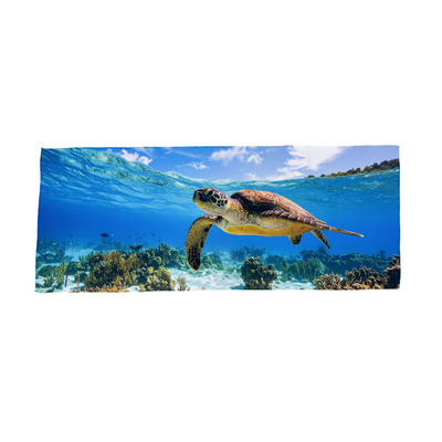 84×34cm】極鮮フェイスタオル | 07-076 | [10226] | オリジナル